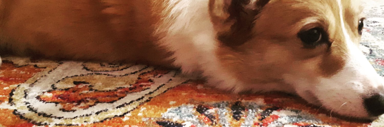 somecunningplan's profile banner image