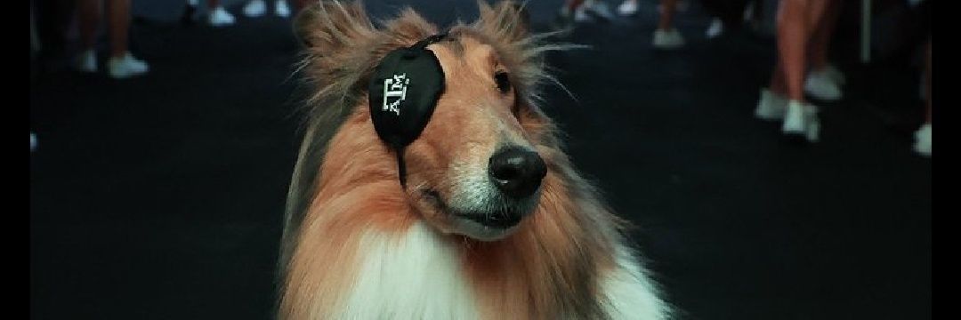 KMays10's profile banner image