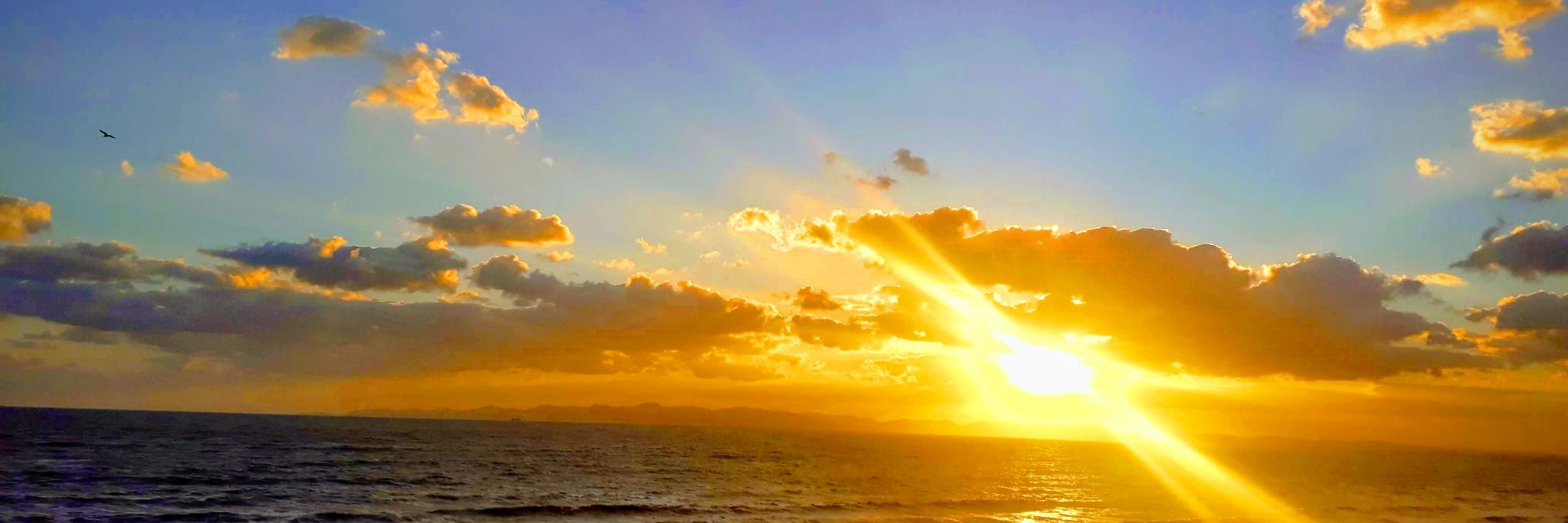 A_B_AMOR's profile banner image