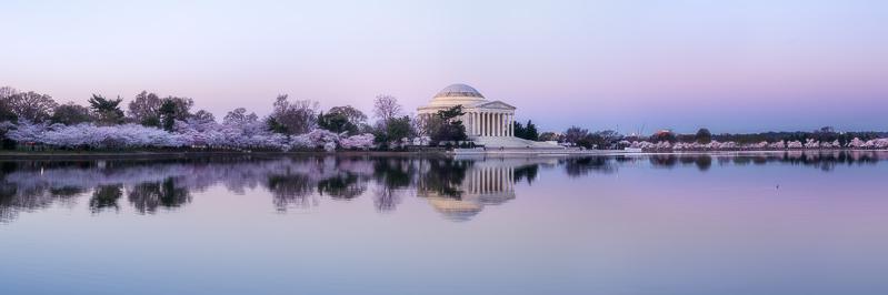 Tina Choudhri banner