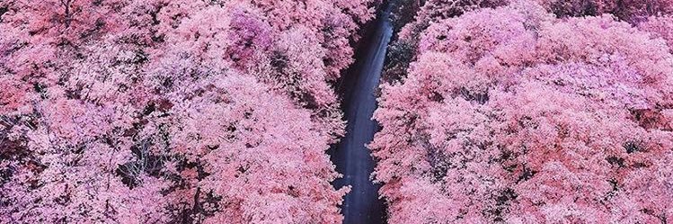 sumyyedgr's profile banner image