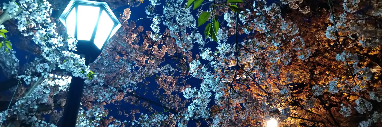 shibachimi92's profile banner image