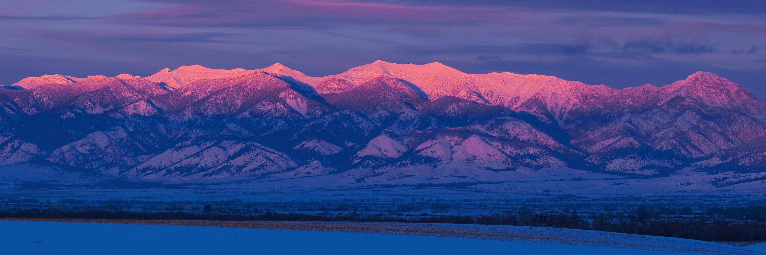Letters & Science banner