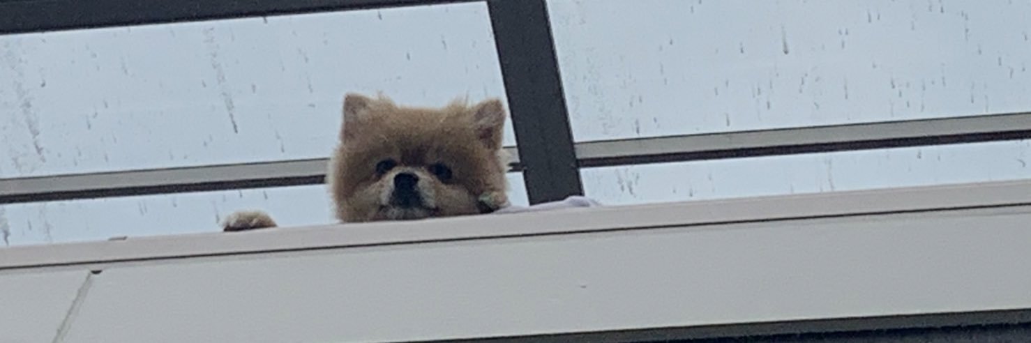 Hidakatake's profile banner image