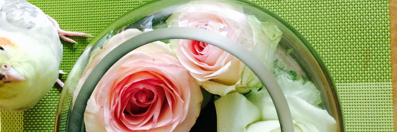 DnDiana's profile banner image