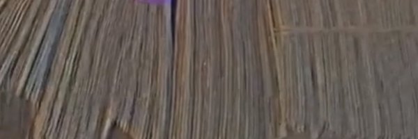 Barbieebriii Profile Banner