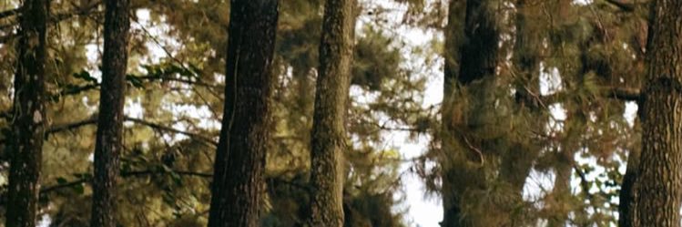 fikridhan's profile banner image