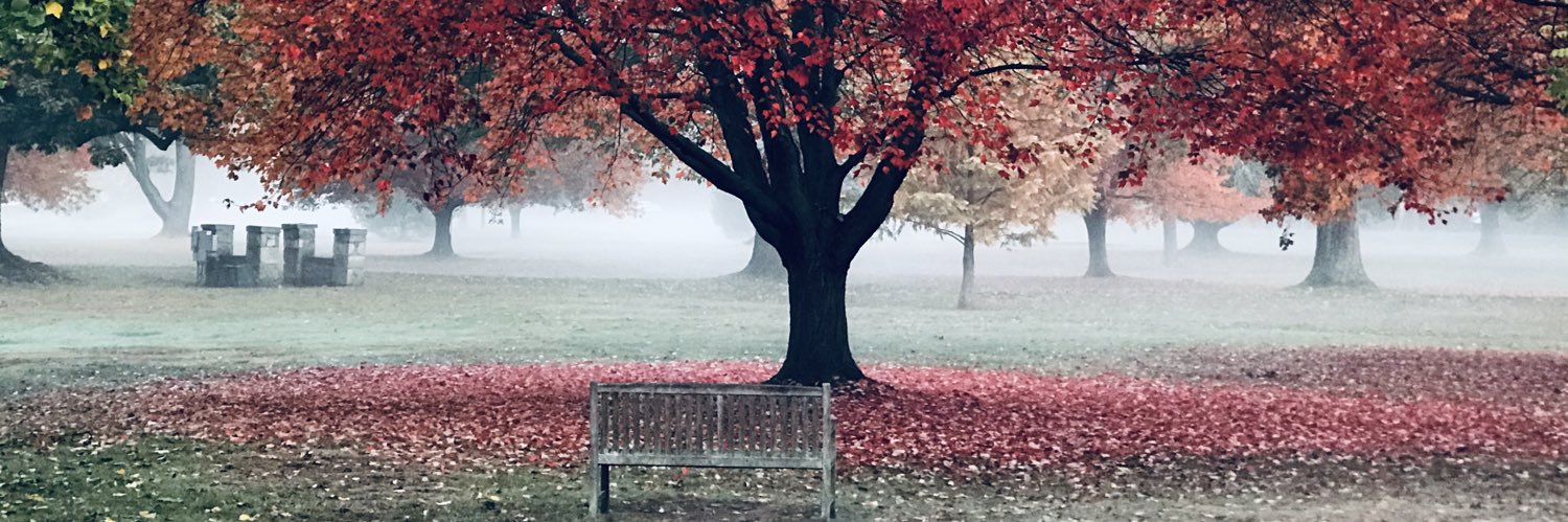 Barnettmatt1's profile banner image