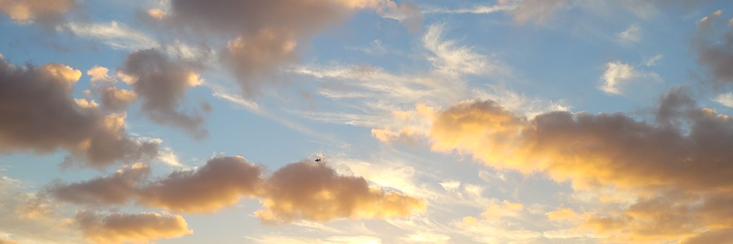 Agumoya_'s profile banner image