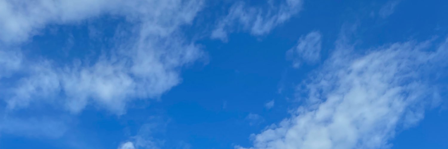 Bunroda banner