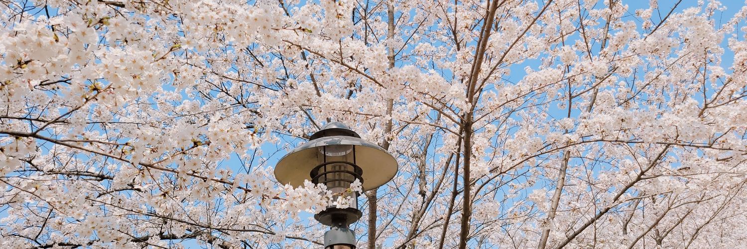 🌸푸우소녀🌸 banner