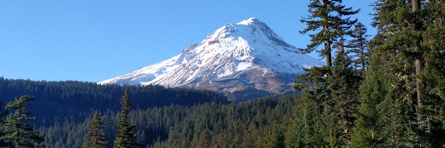 Benjamin Ecks banner