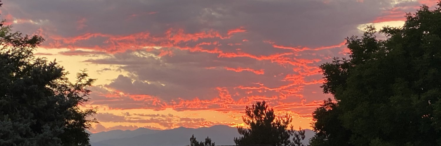 Mark J. 🇺🇸 banner