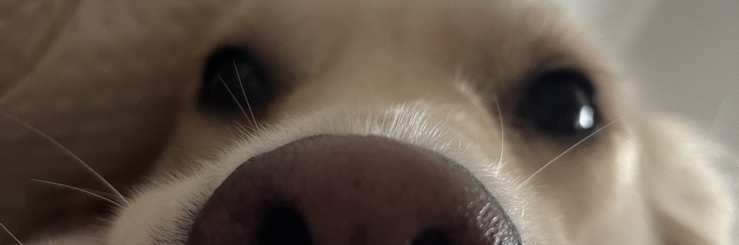 emineg97's profile banner image