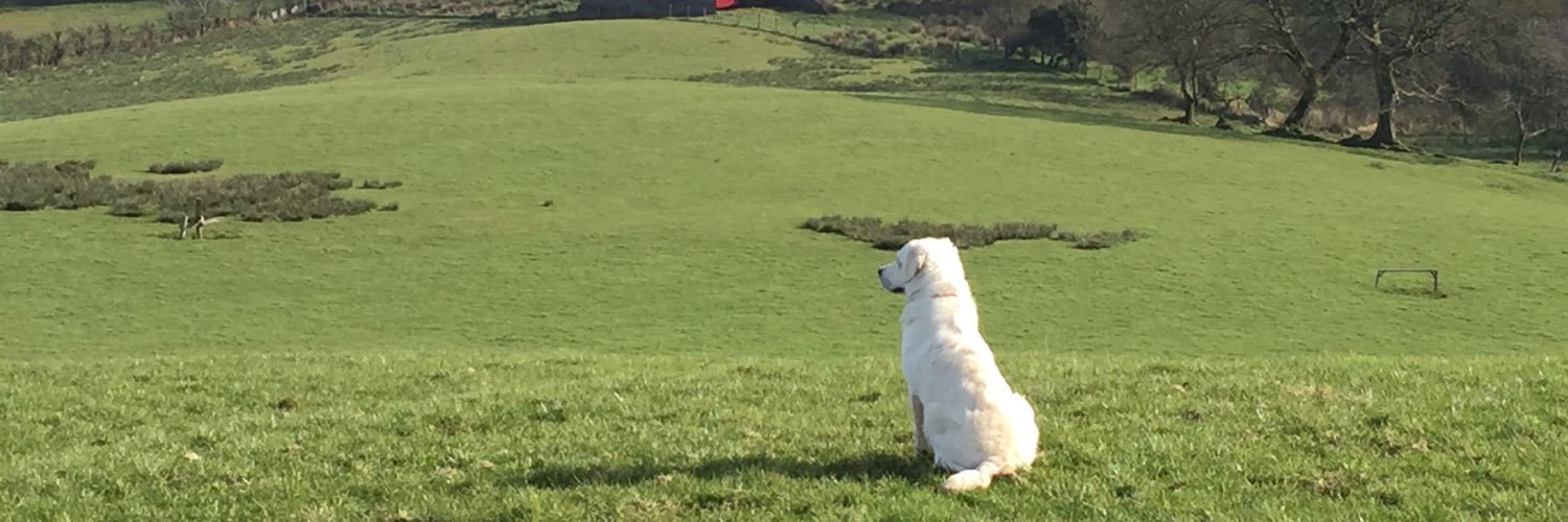 Michael Graham banner