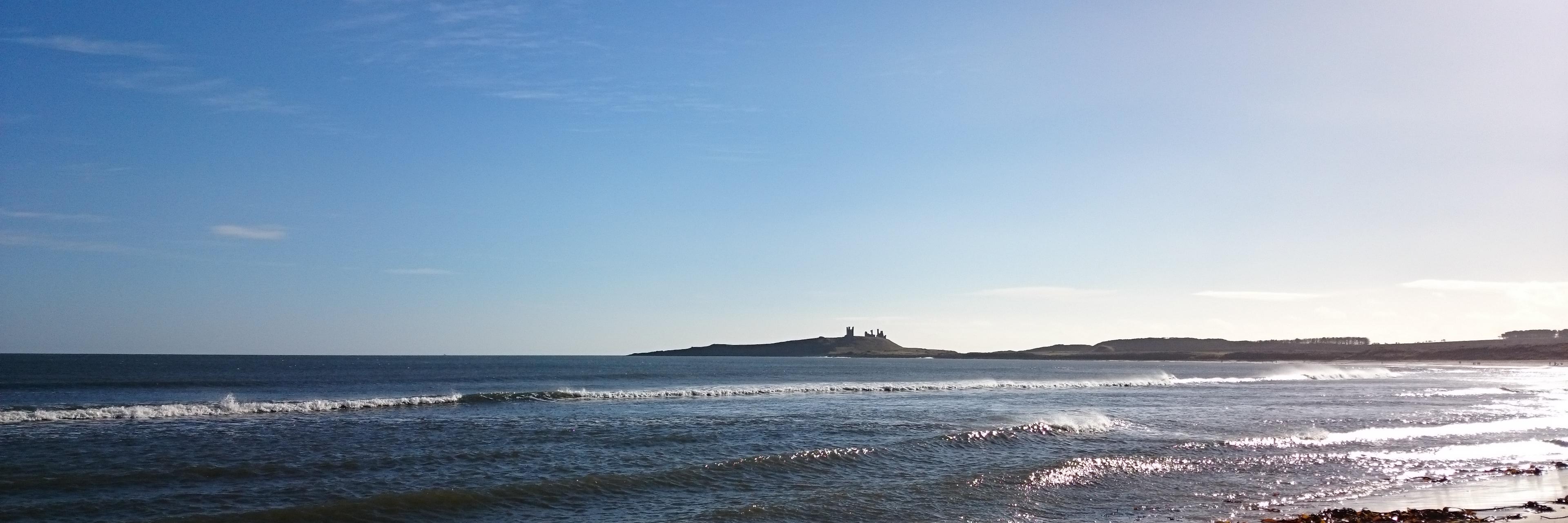 Anne Carruthers banner