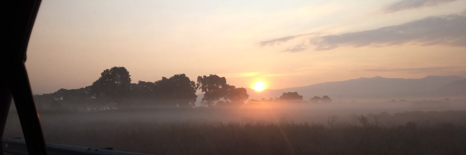 lisshj's profile banner image