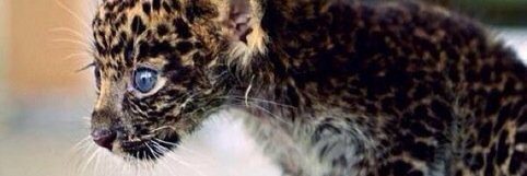 HunterPecunia's profile banner image