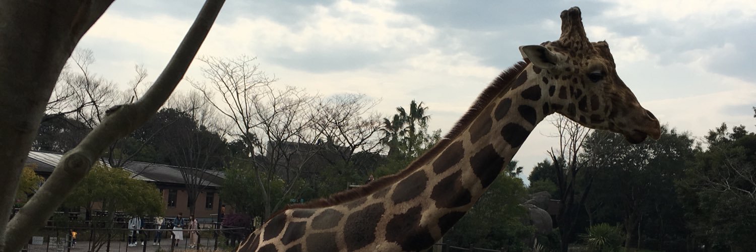 maro24653's profile banner image