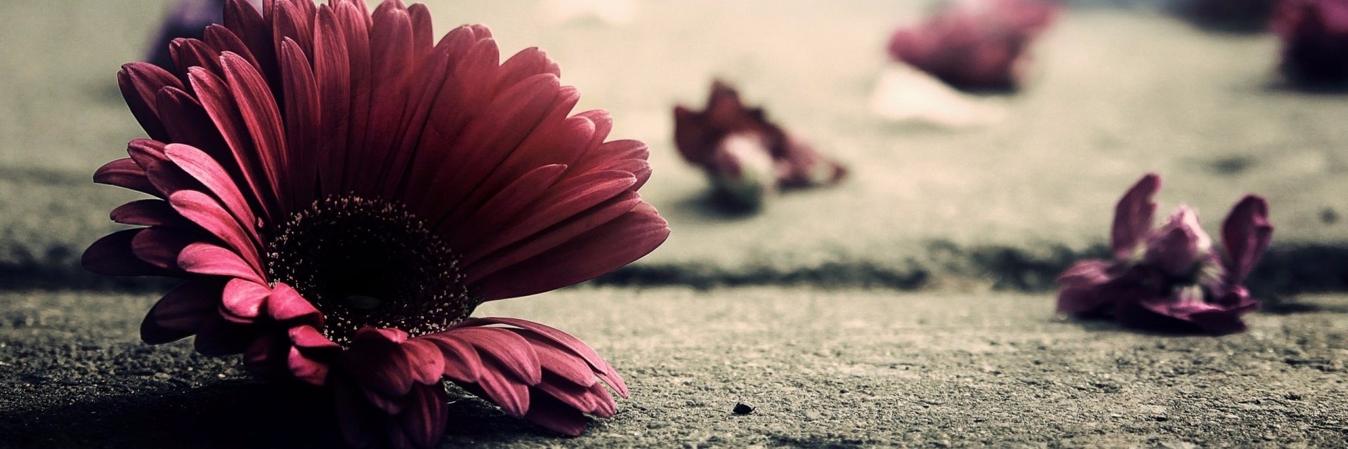 summmwt's profile banner image