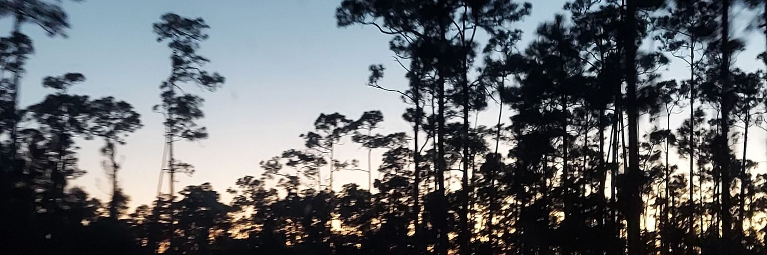 izzielook's profile banner image
