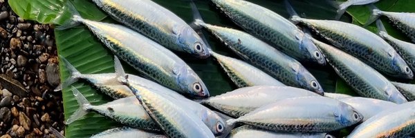 LydiaOmeara Profile Banner