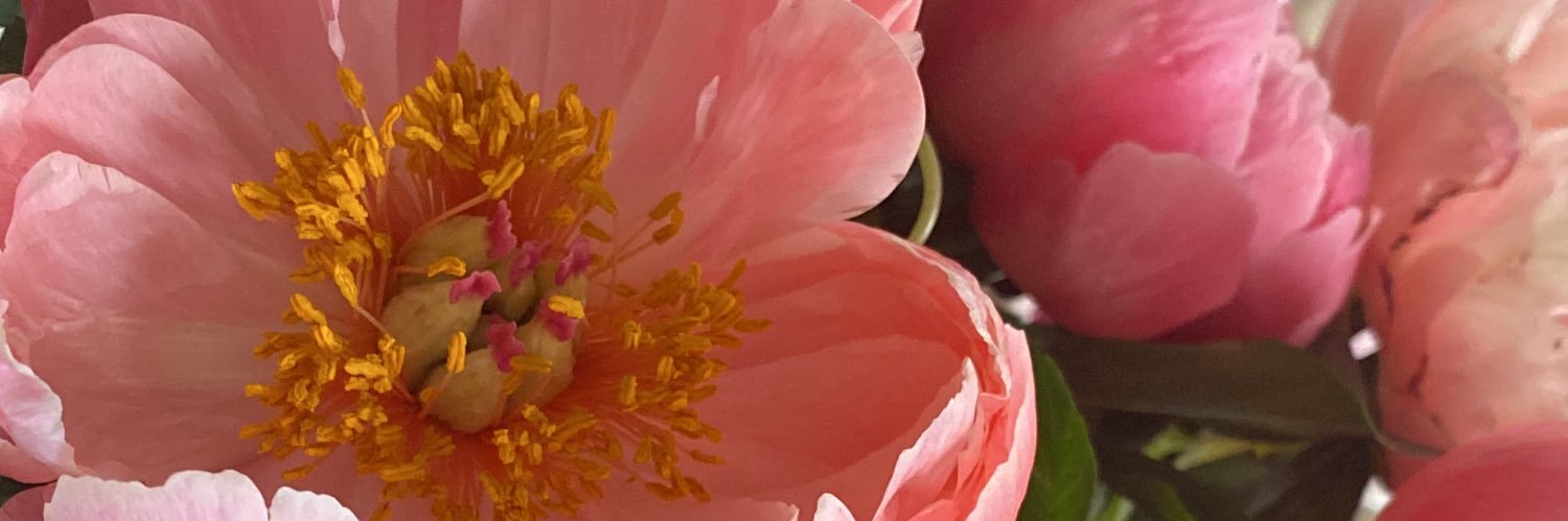 calculuv's profile banner image
