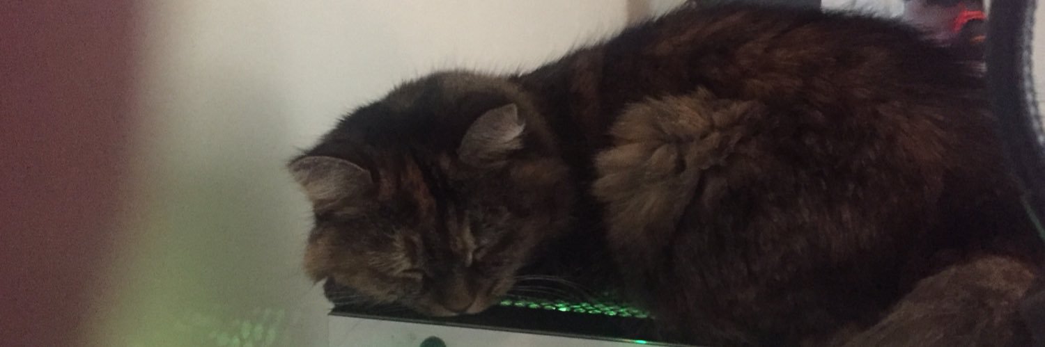 TimmyAsHeck's profile banner image