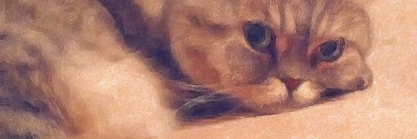 reallythecat's profile banner image