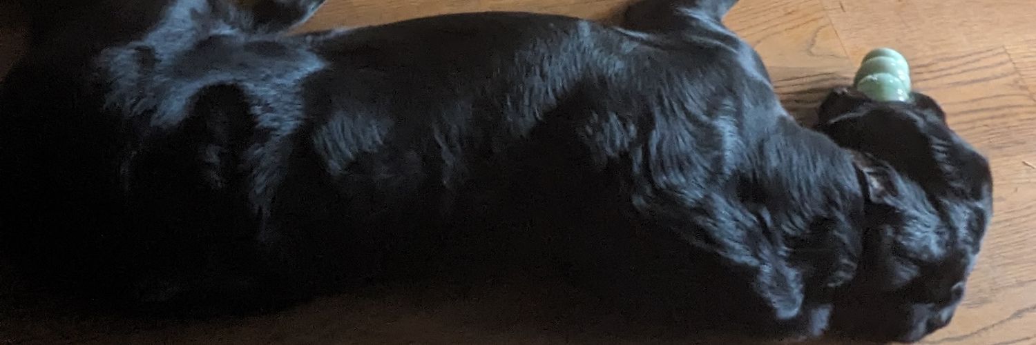 ChiefBrap34's profile banner image