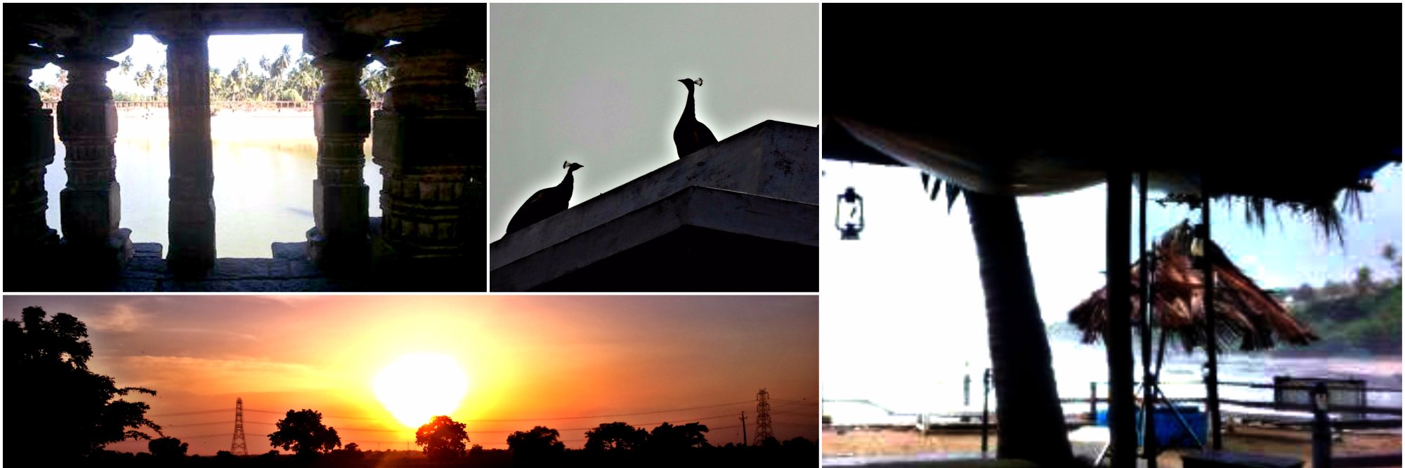 DivyaRannore's profile banner image