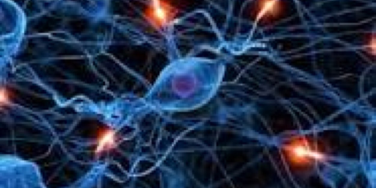 caroline miller banner