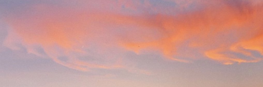 daniellemainex's profile banner image