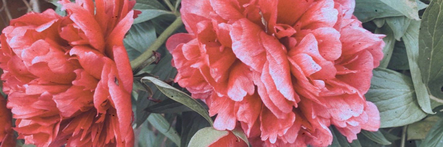 GeorgiaHaslam's profile banner image