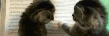 ontoxepisteme's profile banner image