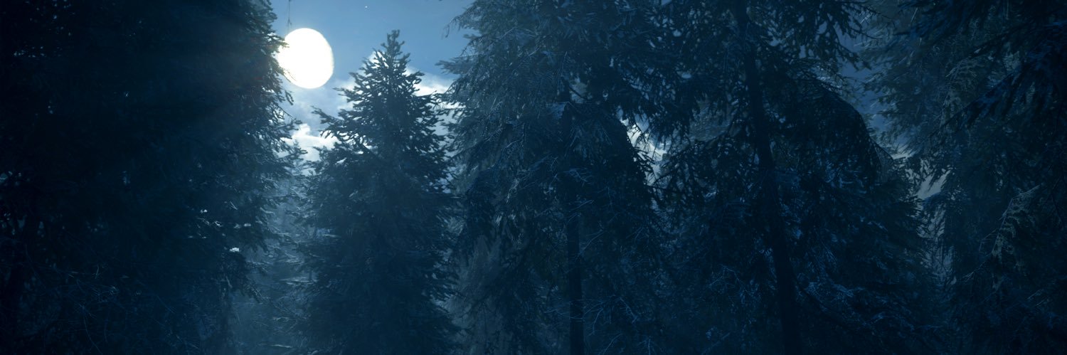 Zal_Bug_101's profile banner image