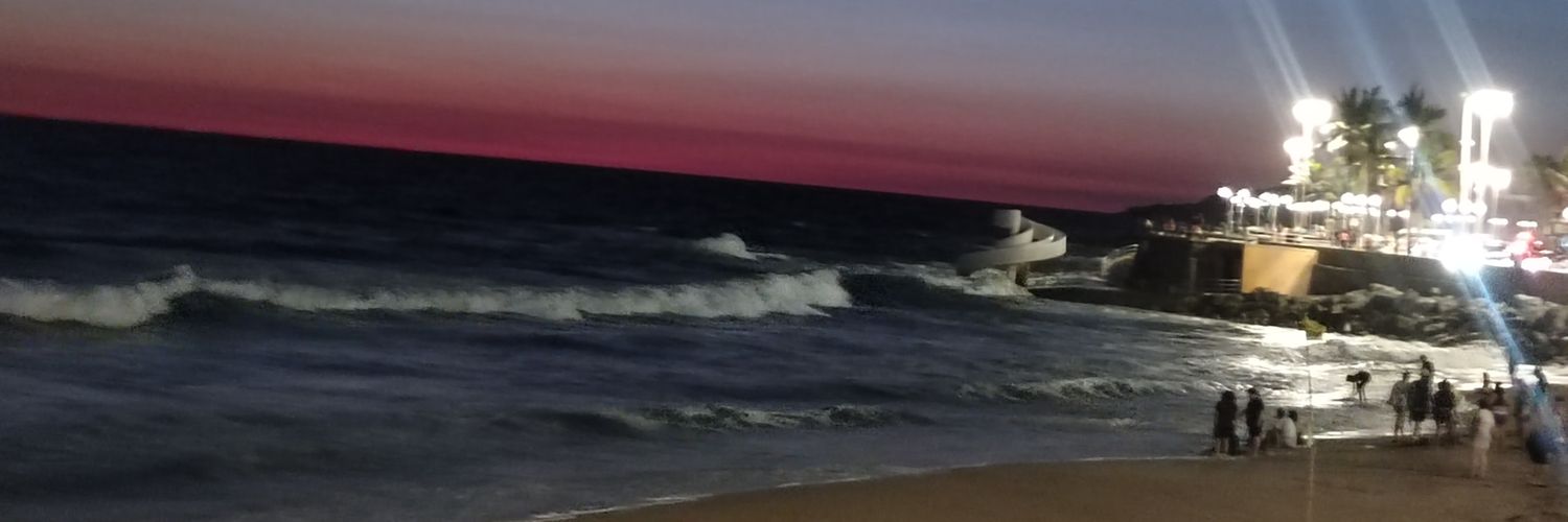 sasanchez_'s profile banner image