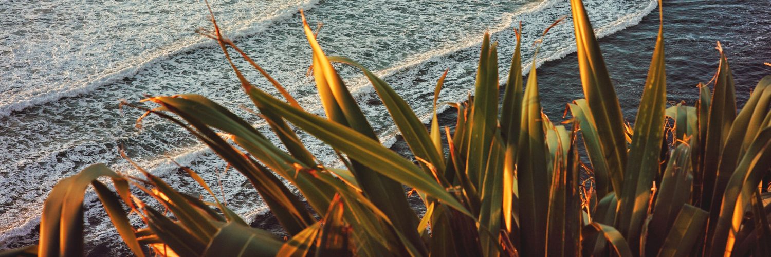 Probarmela's profile banner image
