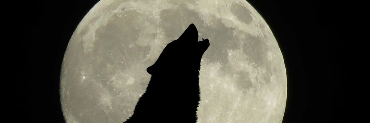 infinity8181's profile banner image