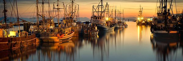 braydenlow Profile Banner