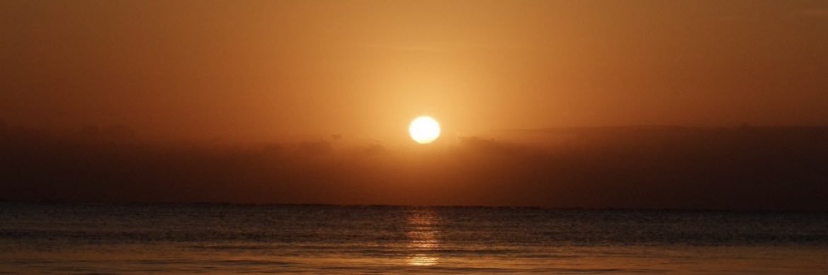 monxs's profile banner image