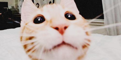 cheenieeee's profile banner image