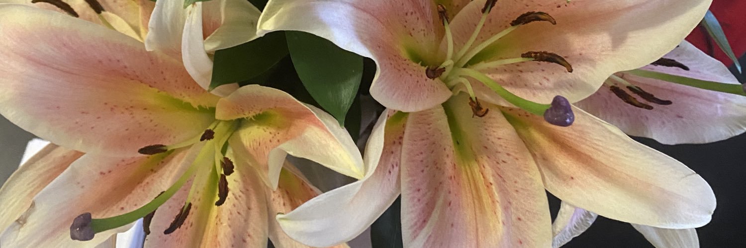 kailandd7's profile banner image