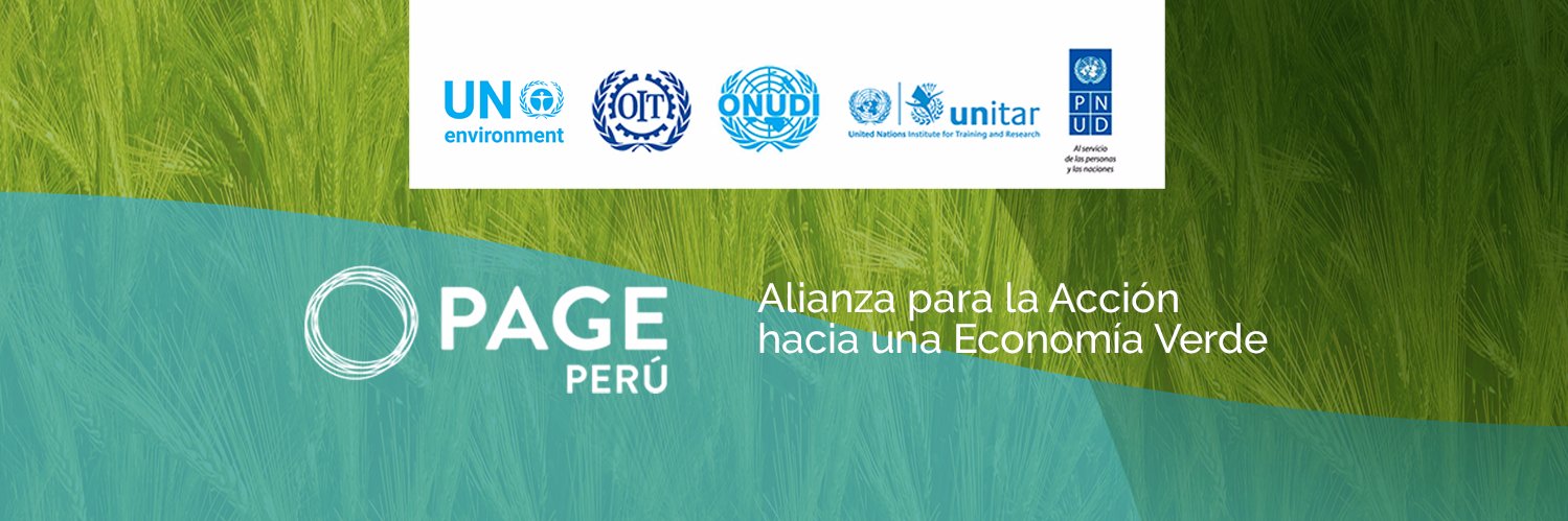 PAGEPeru's profile banner image