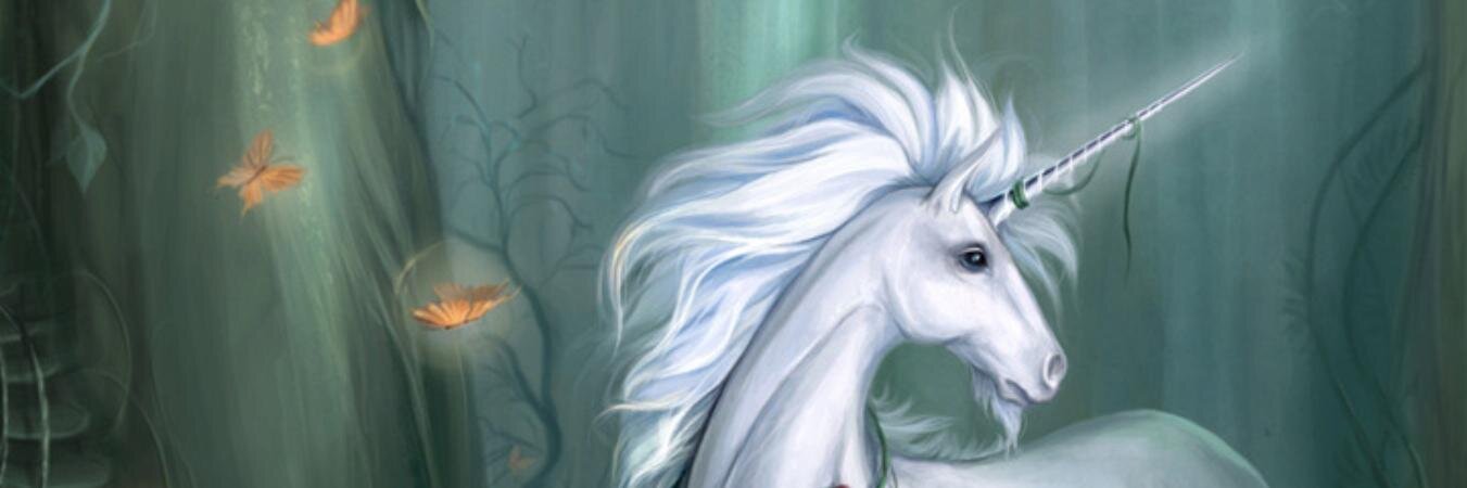 Tafffka's profile banner image