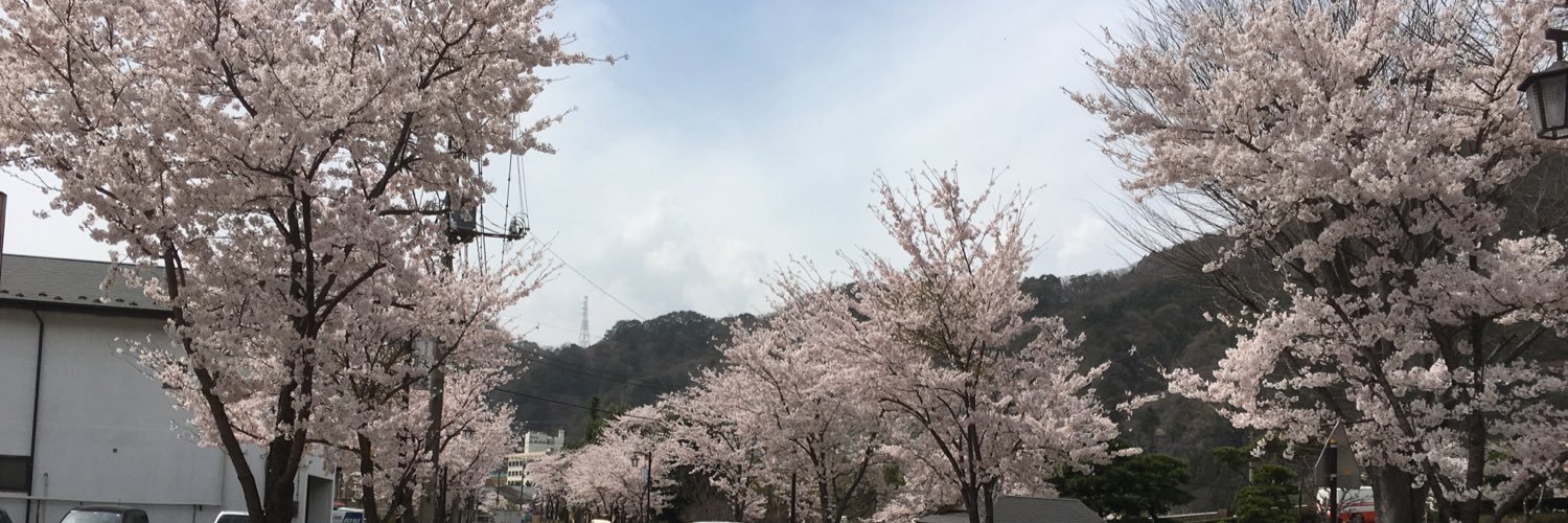 DozenHalf's profile banner image
