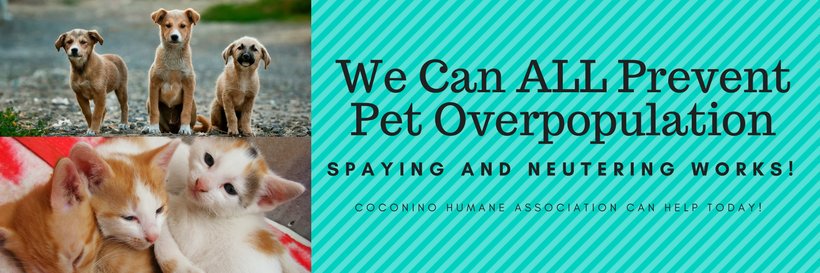 Coconino Humane Society (@coconinohumane) / Posts / X