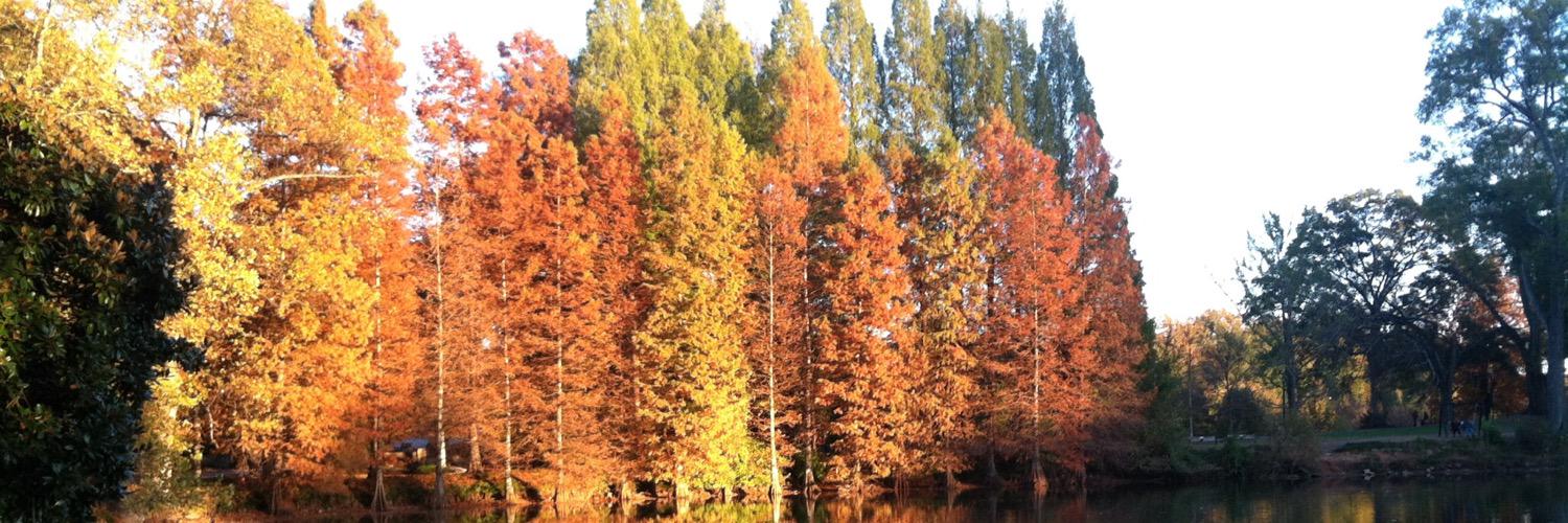 EmileAbrahamCoaching banner