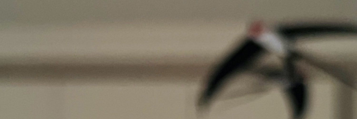 Koonsrave's profile banner image