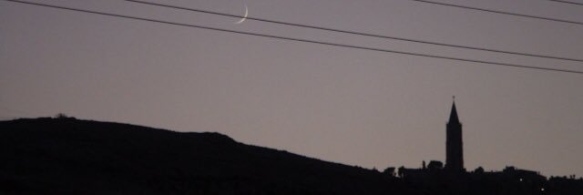 Perla Martínez banner